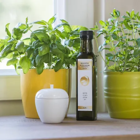 Apartamento Rossini Superior Poreč